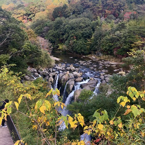 🏞️ 스키무 랜드(스키무란도) 이미지 11